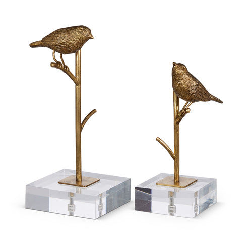 Golden Perched Bird
