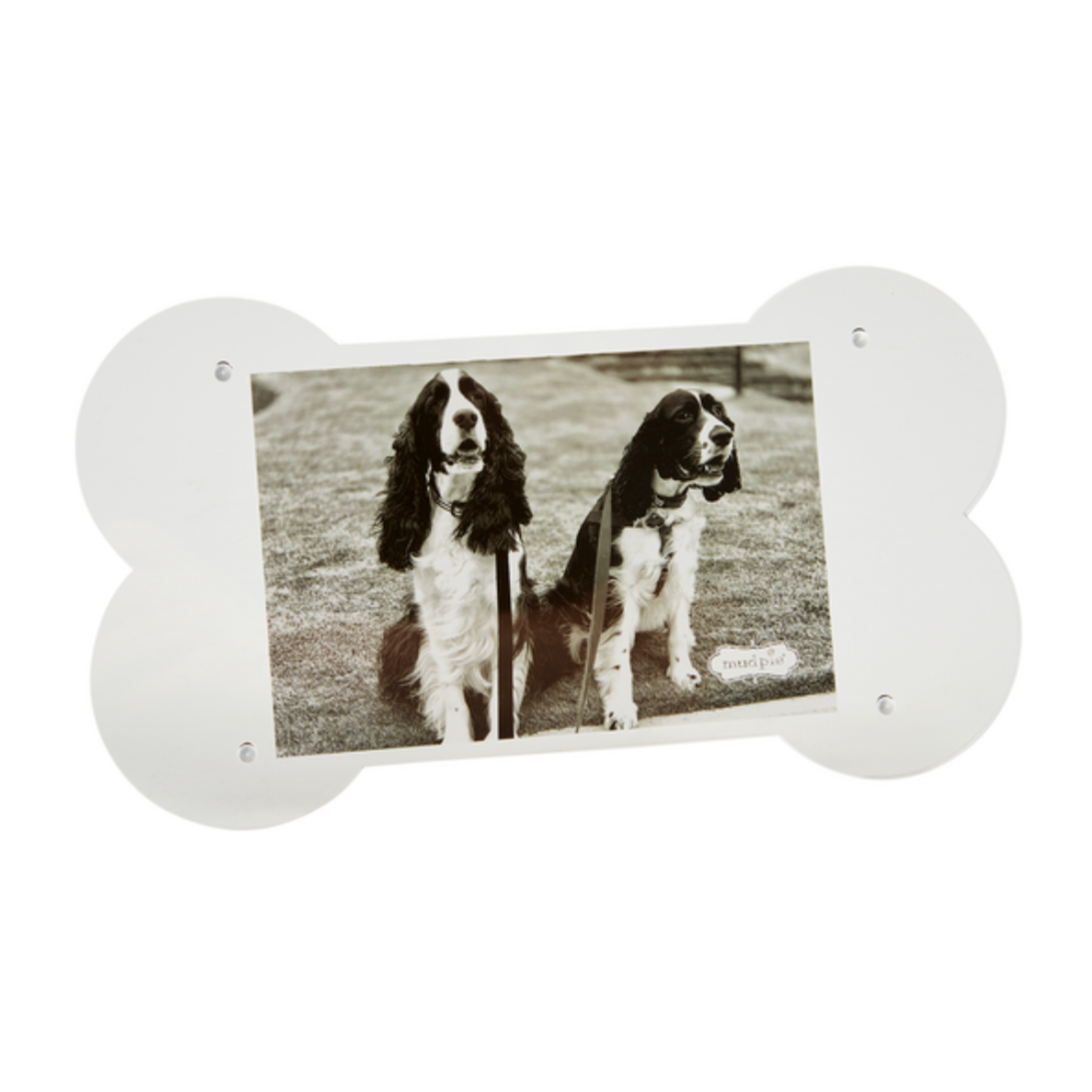 Dog Bone Acrylic Frame