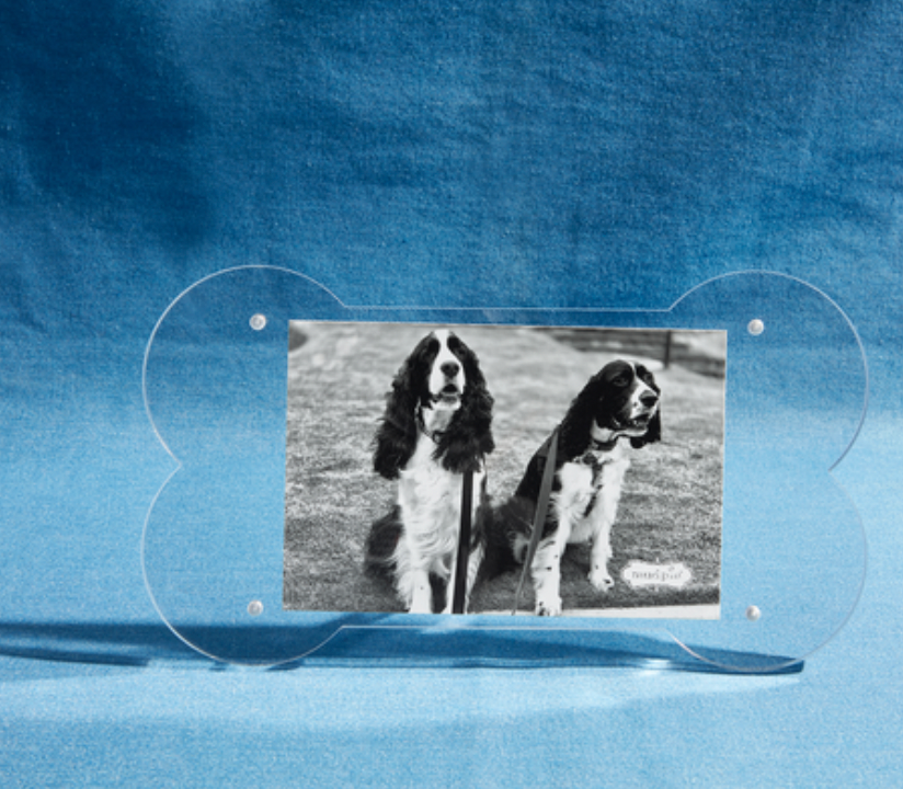 Dog Bone Acrylic Frame