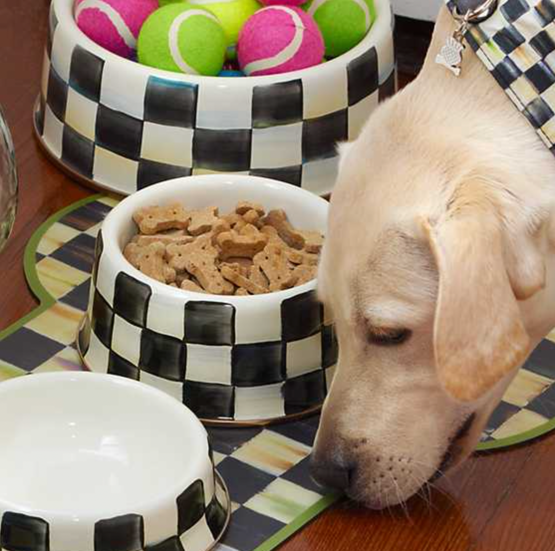 MacKenzie Childs Courtly Check Enamel Pet Dish